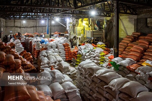 برخورد قاطع قضایی با محتکران برنج برخورد قاطع قضایی با محتکران برنج
