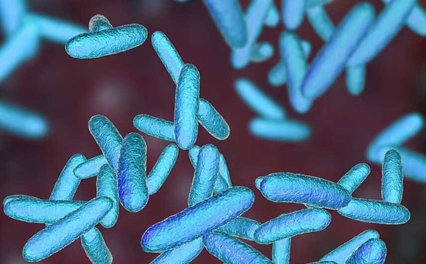 بطری آب چندبار مصرف: قاتل خاموش بطری آب چندبار مصرف: قاتل خاموش