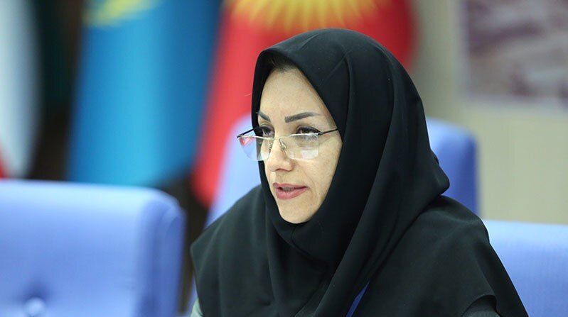 تاج‌بخش: پایش برخط بارش دریاچه ارومیه با ۵۰ ایستگاه خودکار آغاز شد