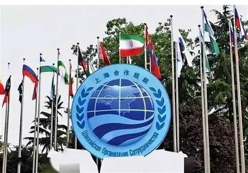 نقش سازمان شانگهای در بازتوزیع قدرت جهانی؛ چین در آستانه تثبیت هژمونی آسیایی – تسنیم