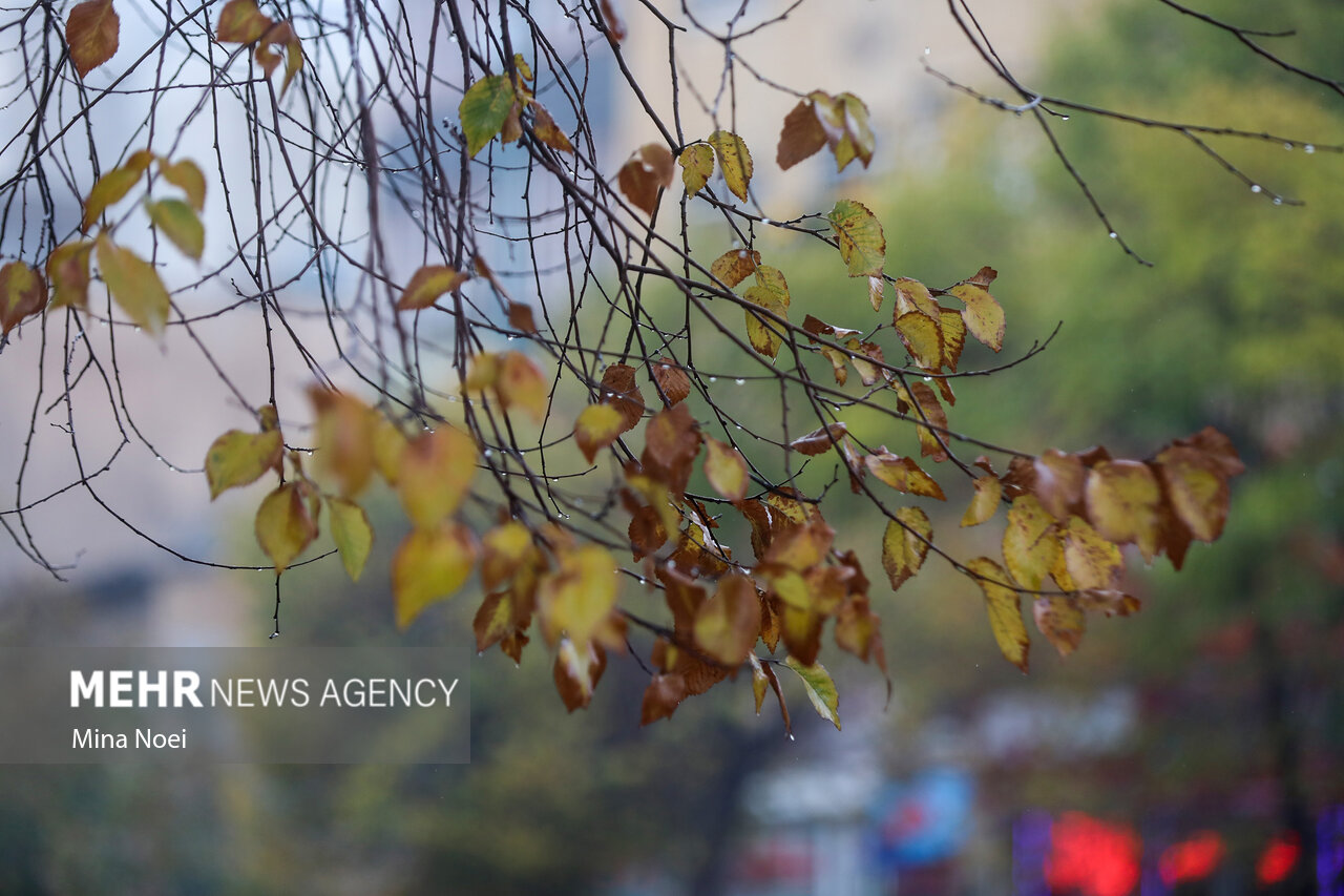 هواشناسی ایران امروز ۱۱ مهر؛ صدور هشدار سرمازدگی