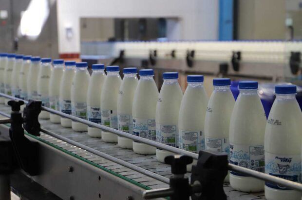 سومین عرضه اولیه امسال بورس تهران معرفی شد/ صنایع لبنی ایران در مرز خودکفایی تولید شیرخشک