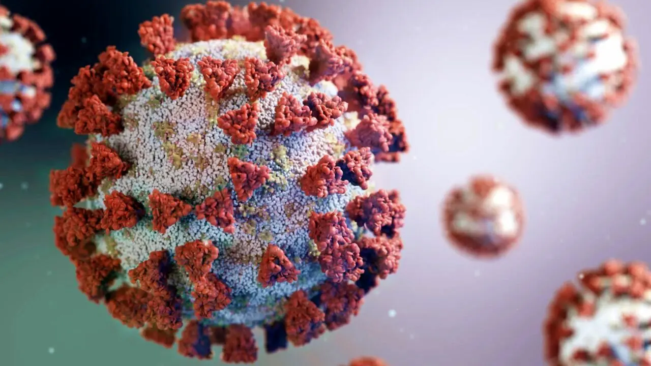 مراقب آنفلوآنزا، کرونا و RSV باشید مراقب آنفلوآنزا، کرونا و RSV باشید