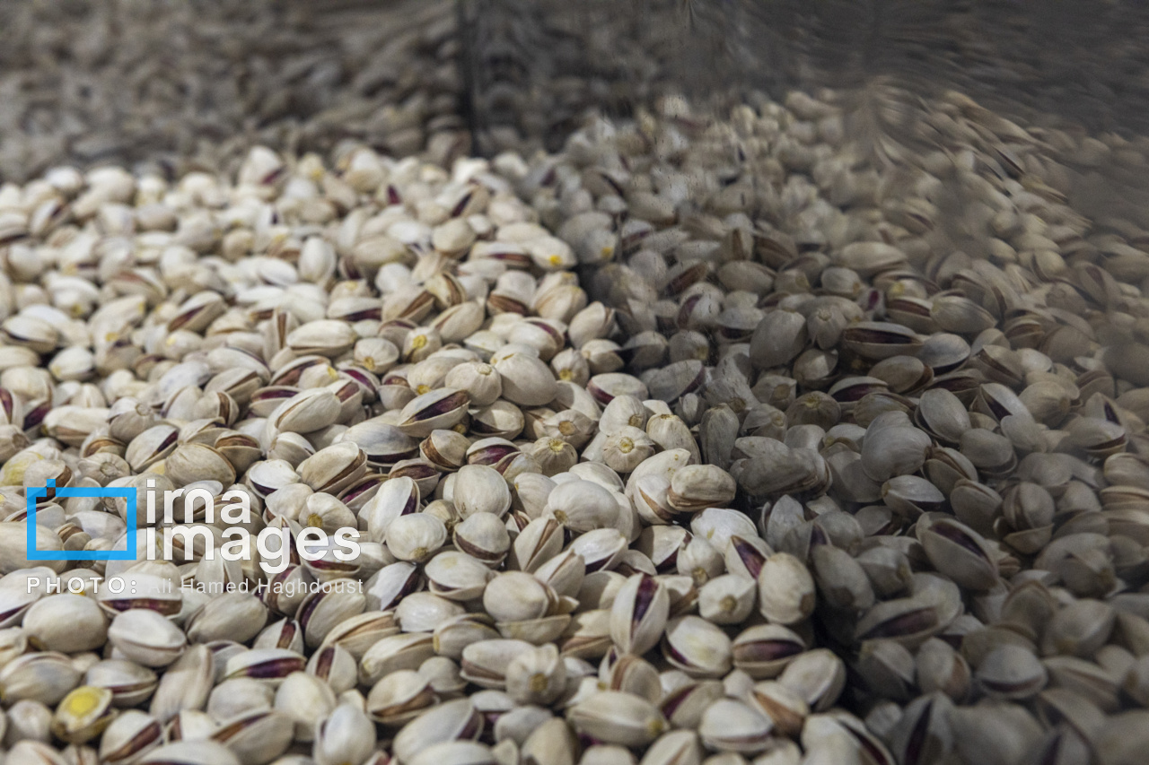 آزمایشگاه تخصصی، فرصت جهش کیفیت و صادرات «طلای سبز» دامغان