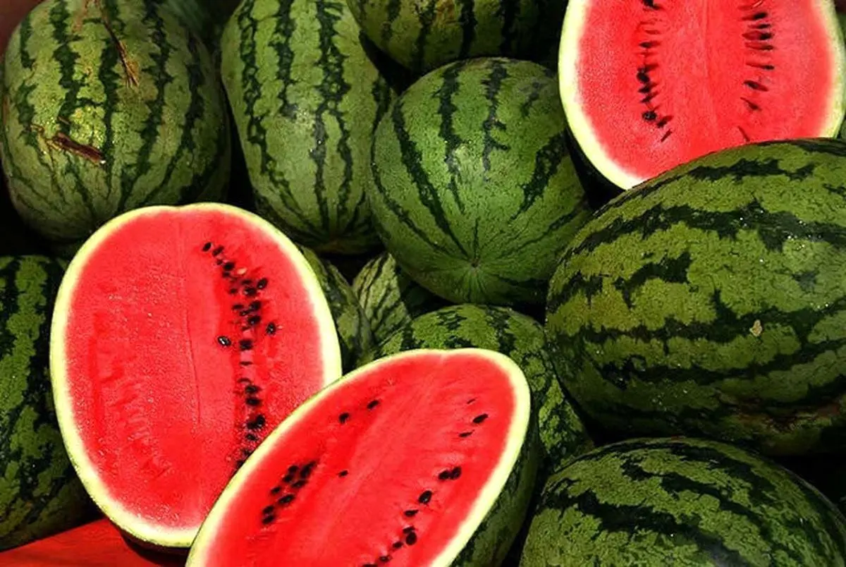 هندوانه شب یلدا کیلیویی ۱۵ تومان! +عکس
