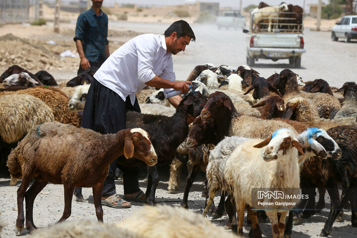 صفحهٔ درخواستی شما یافت نشد.