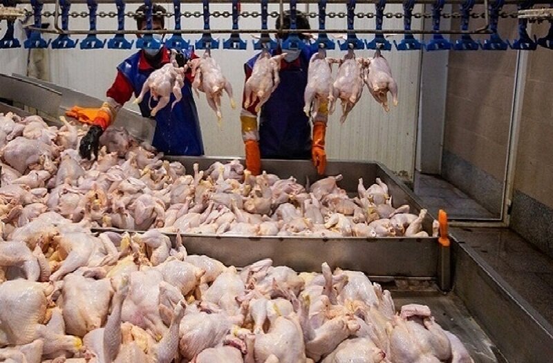 اعلام قیمت‌های نامتعارف گوشت مرغ صحت ندارد