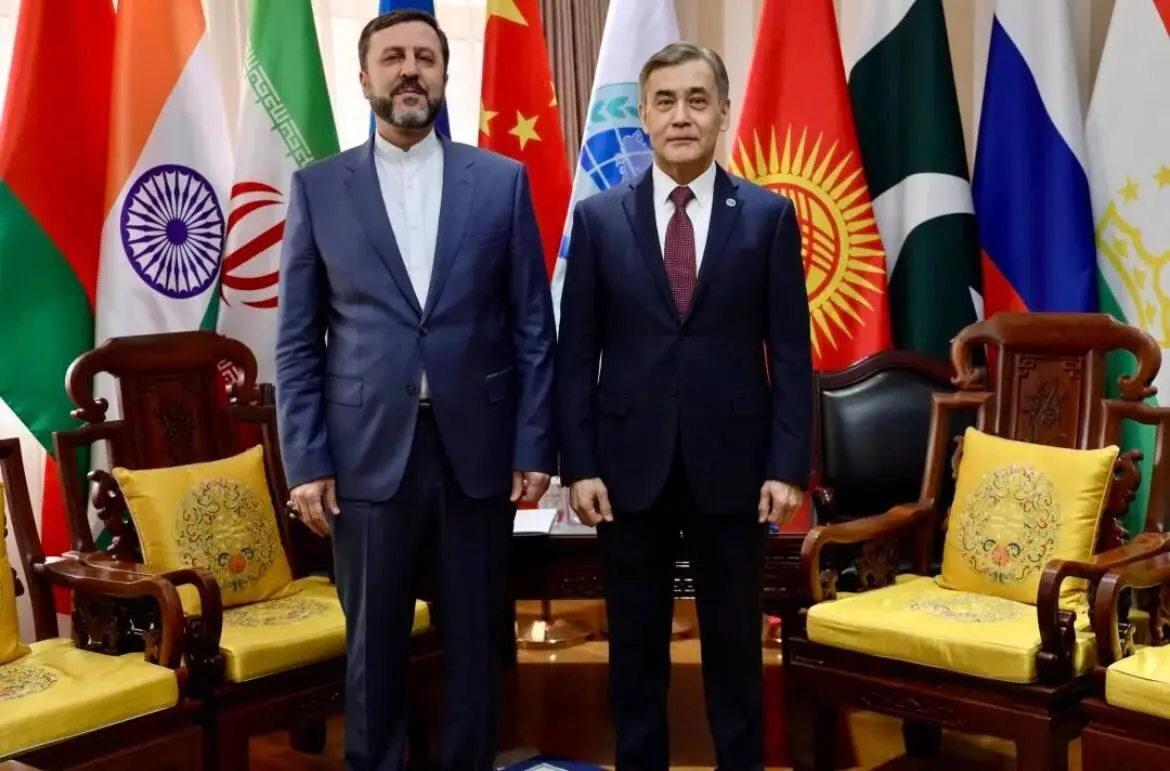 دیدار غریب‌آبادی با دبیرکل سازمان همکاری شانگهای