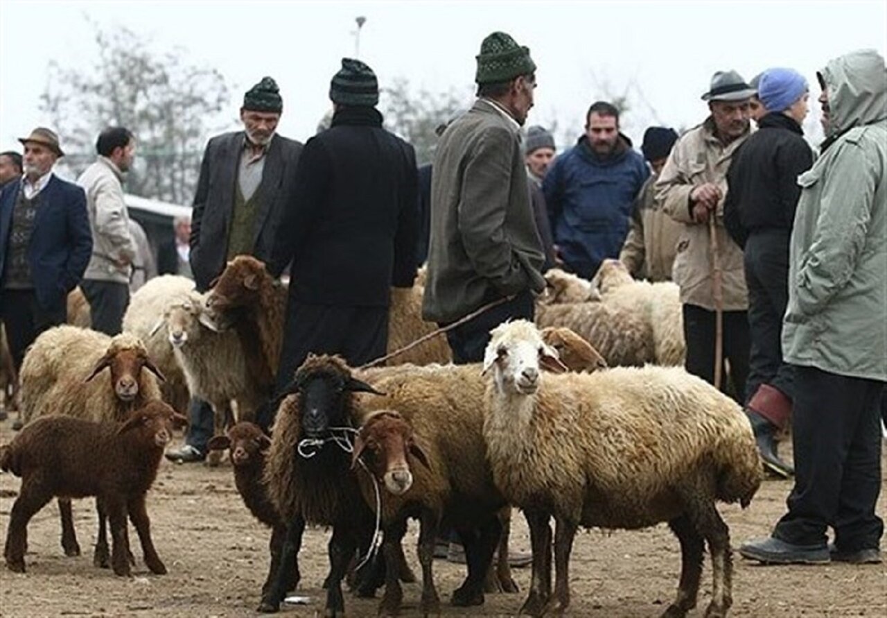 قیمت قربانی برای حج ۱۴۰۵ چقدر شد؟