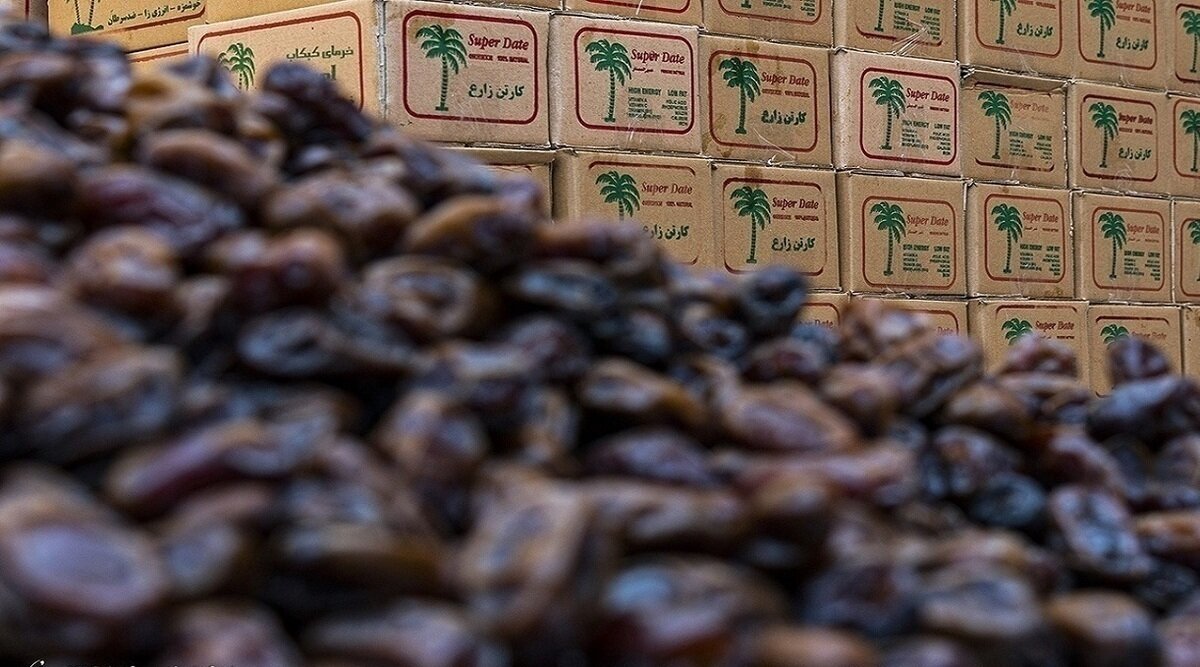 قیمت نجومی خرما در ماه رمضان؛ هر کیلو خرما چند؟