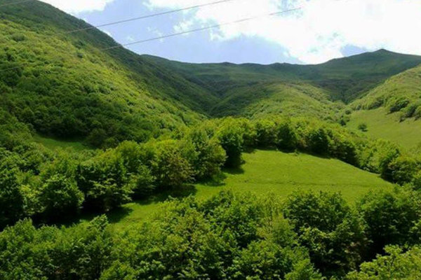 همکاری ایران و یونسکو در حوزه مدیریت پایدار منابع طبیعی