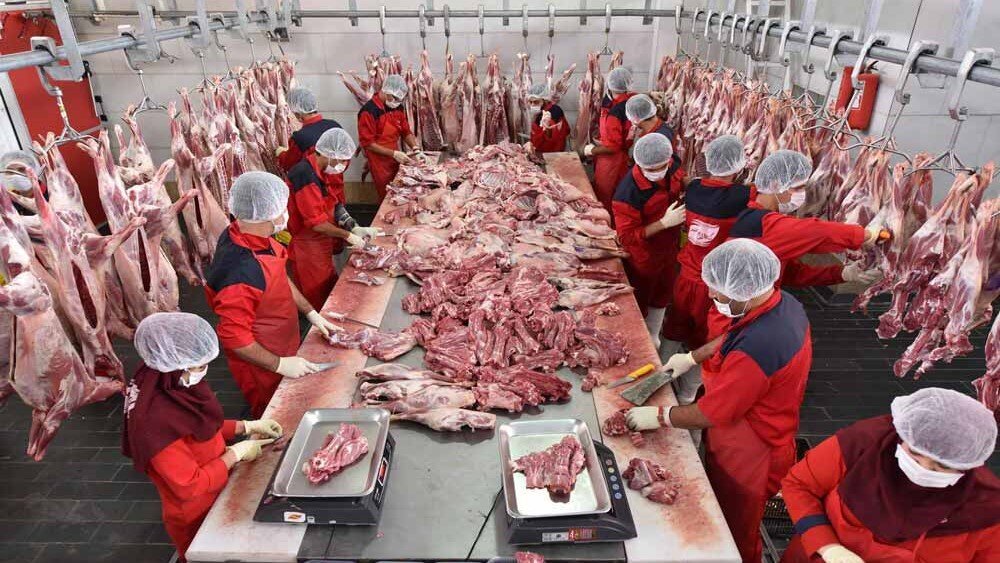 چراغ سبز دولت به بازار گوشت؛ جدیدترین قیمت گوشت گوسفندی / چرا صادرات سویا ممنوع شد؟ چراغ سبز دولت به بازار گوشت؛ جدیدترین قیمت گوشت گوسفندی / چرا صادرات سویا ممنوع شد؟