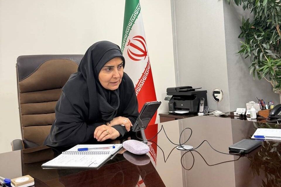 بسیج ظرفیت‌های لجستیکی برای ارائه خدمات مطلوب در اربعین/ تداوم تردد در جاده‌های جنوب