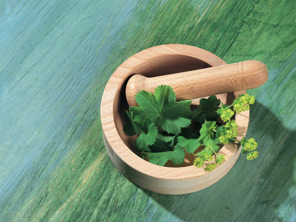 بی‌خطری داروهای گیاهی، باوری غلط