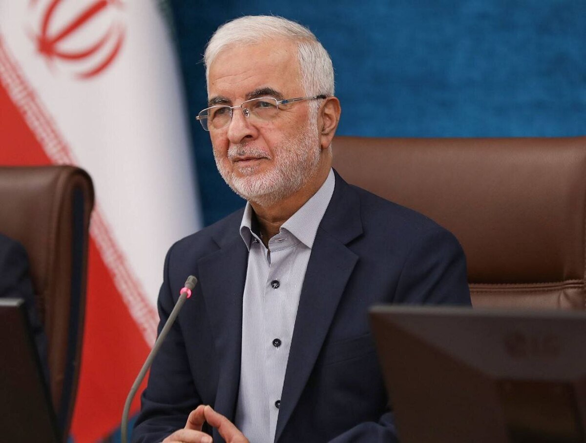 خروج یک‌میلیون و ۱۰۰ هزار تبعه غیرمجاز از ایران