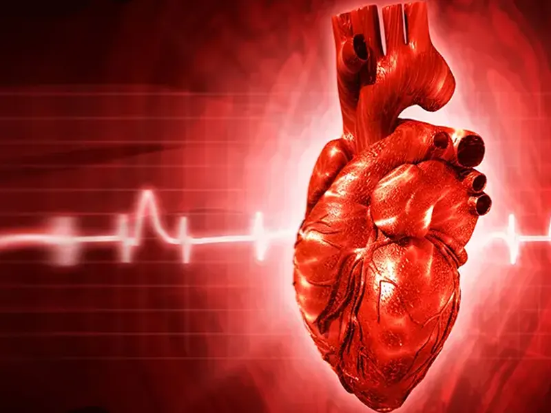 همه حمله‌های قلبی بخاطر گرفتگی عروق نیستند