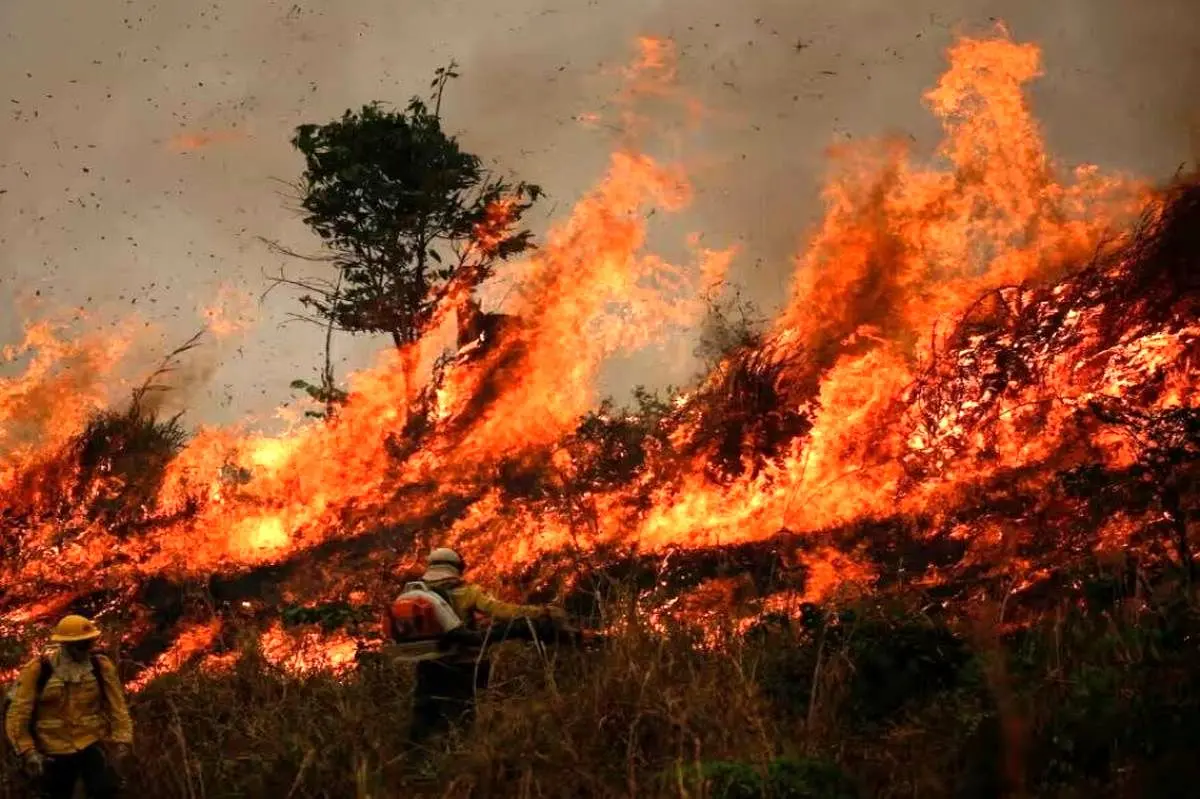 جنگل‌های ایلام در آتش بی‌خیالی