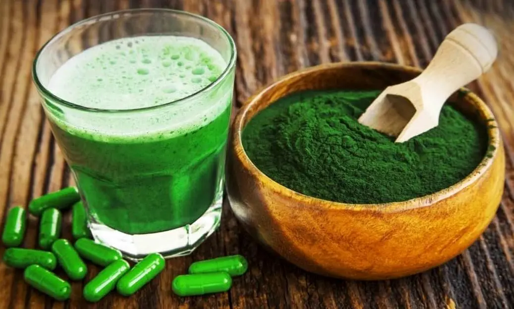 خواص و فواید جلبک اسپیرولینا برای سلامت بدن
