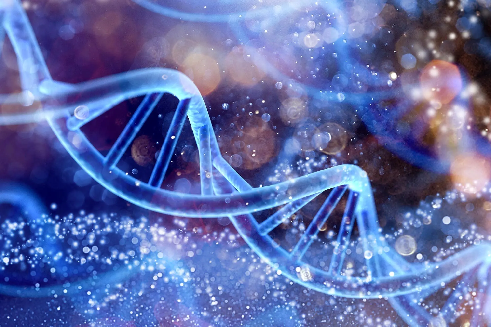 راه شگفت‌انگیز انتقال طول عمر از والدین به فرزندان