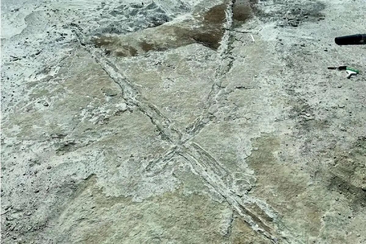 شواهدی از وجود وسایل نقلیه در ماقبل تاریخ