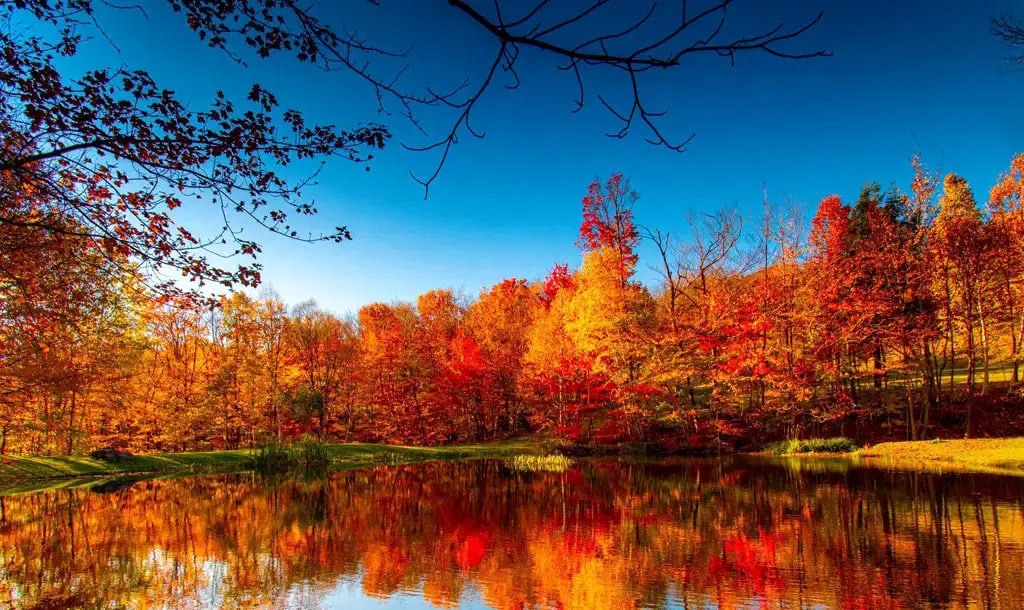 طالع‌بینی پاییز: اعتدال پاییزی زندگی هر نشانه را دگرگون می‌کند