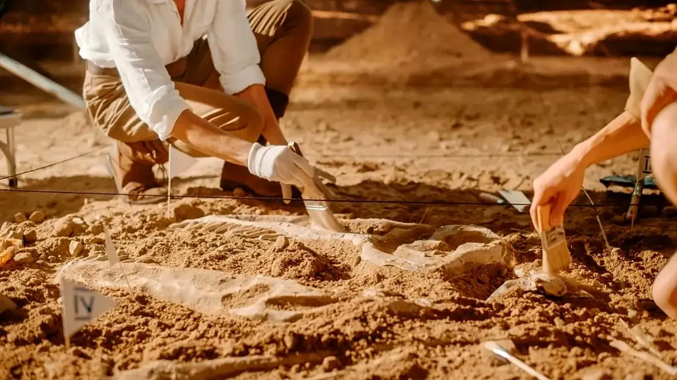 فسیل ۵۲۰ میلیون ساله با مغز و روده‌هایی سالم کشف شد