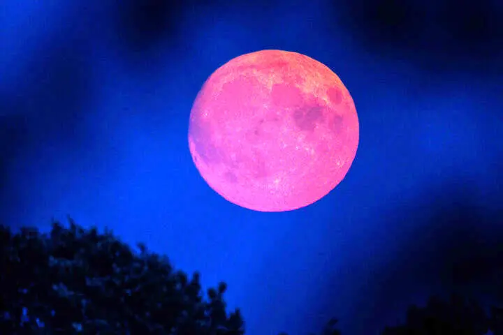 ویژه‌برنامه رصد ماه‌گرفتگی در آستان حضرت عبدالعظیم(ع) برگزار می‌شود