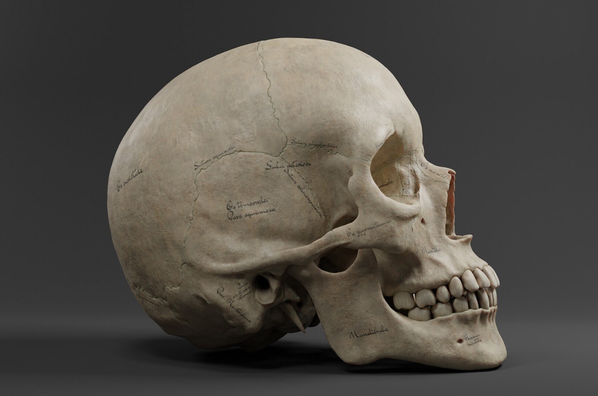 کشف جمجمه یک میلیون ساله در چین