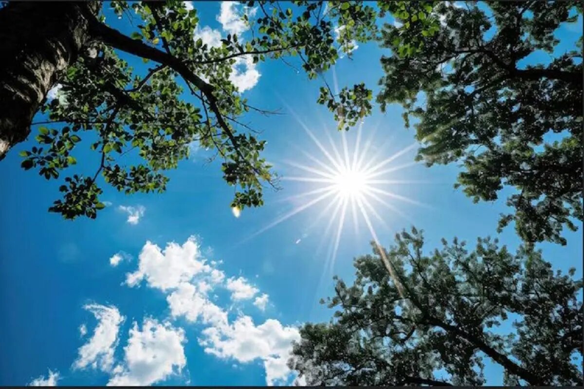 صفحهٔ درخواستی شما یافت نشد.