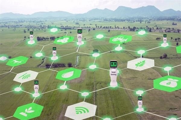 نخستین آمار رسمی سهم اقتصاد دیجیتال کشور به‌زودی منتشر می‌شود