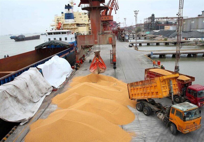 هشدار سازمان بازرسی به وزارت جهاد کشاورزی درباره نهاده‌های دامی: اقدام خالی فروشی واردکنندگان باعث نارضایتی واحدهای تولیدی شده