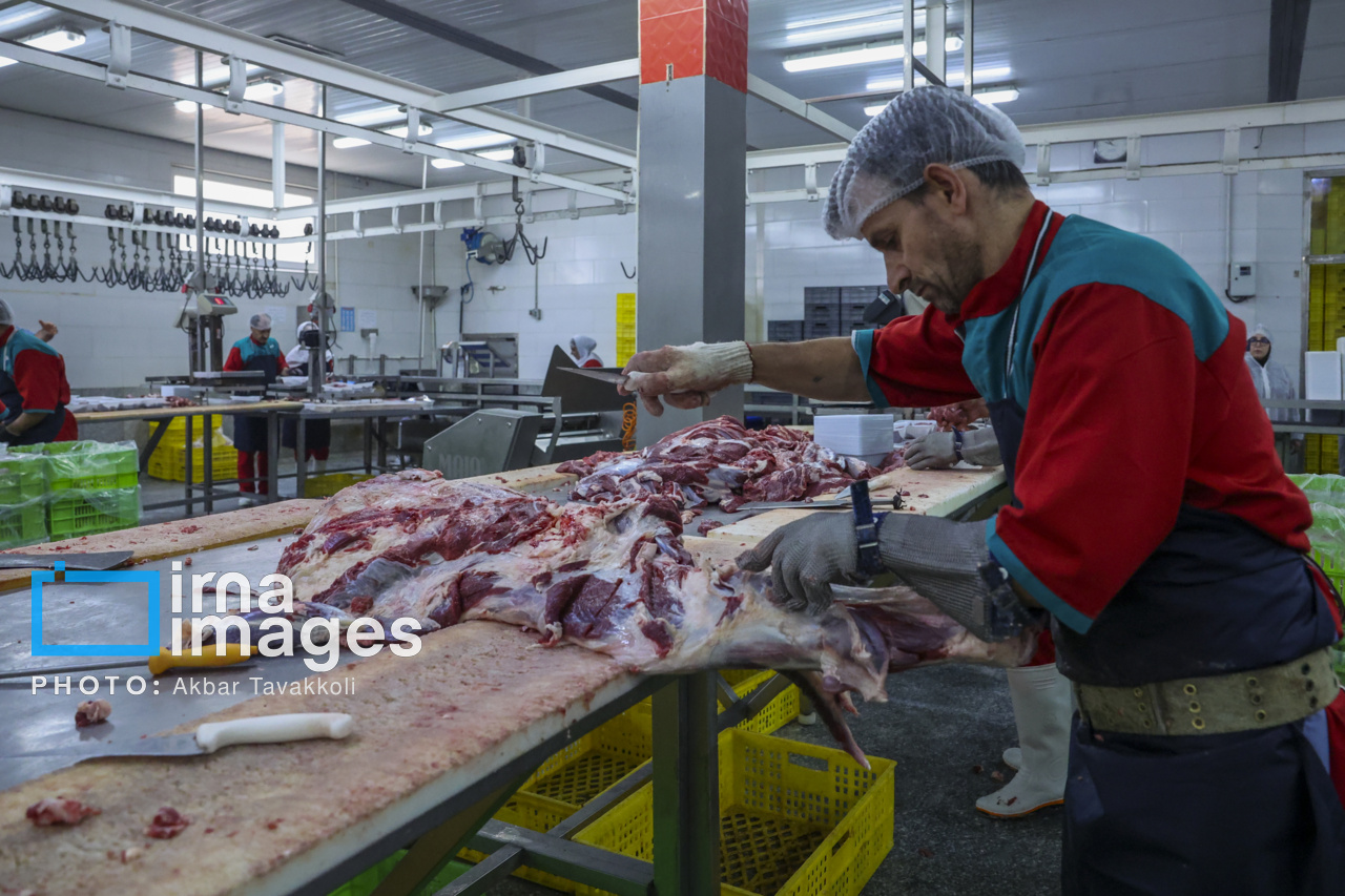 آغاز واردات و عرضه گوشت تازه با استفاده از ارز مبادله ای