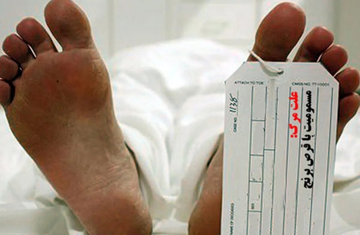 آمار مرگ‌های ناشی از مسمومیت با قرص برنج/ این استان‌ها بیشترین موارد مسمومیت را دارند