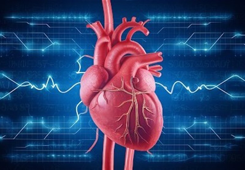 اخبار پزشکی|46درصد از مرگ‌های کشور ناشی از بیماری‌های قلبی است/ کاهش سن سکته قلبی در ایران – تسنیم