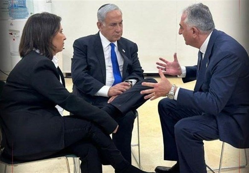 افشای حمایت‌های سایبری اسرائیل از رضا پهلوی؛ قمار روی اسب بازنده! – تسنیم