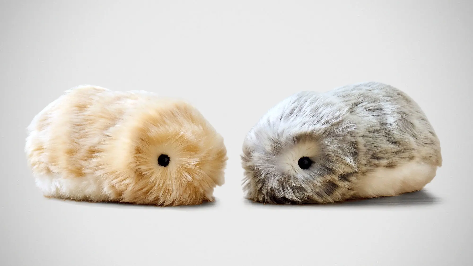 این گجت  هوشمند حیوان خانگی است