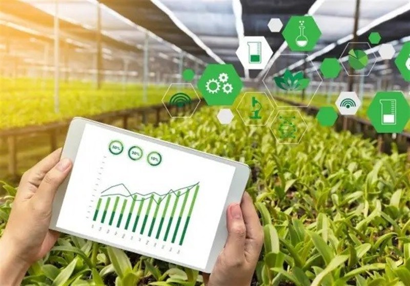 بدون تقویت منابع بانکی، توسعه کشاورزی ممکن نیست – تسنیم