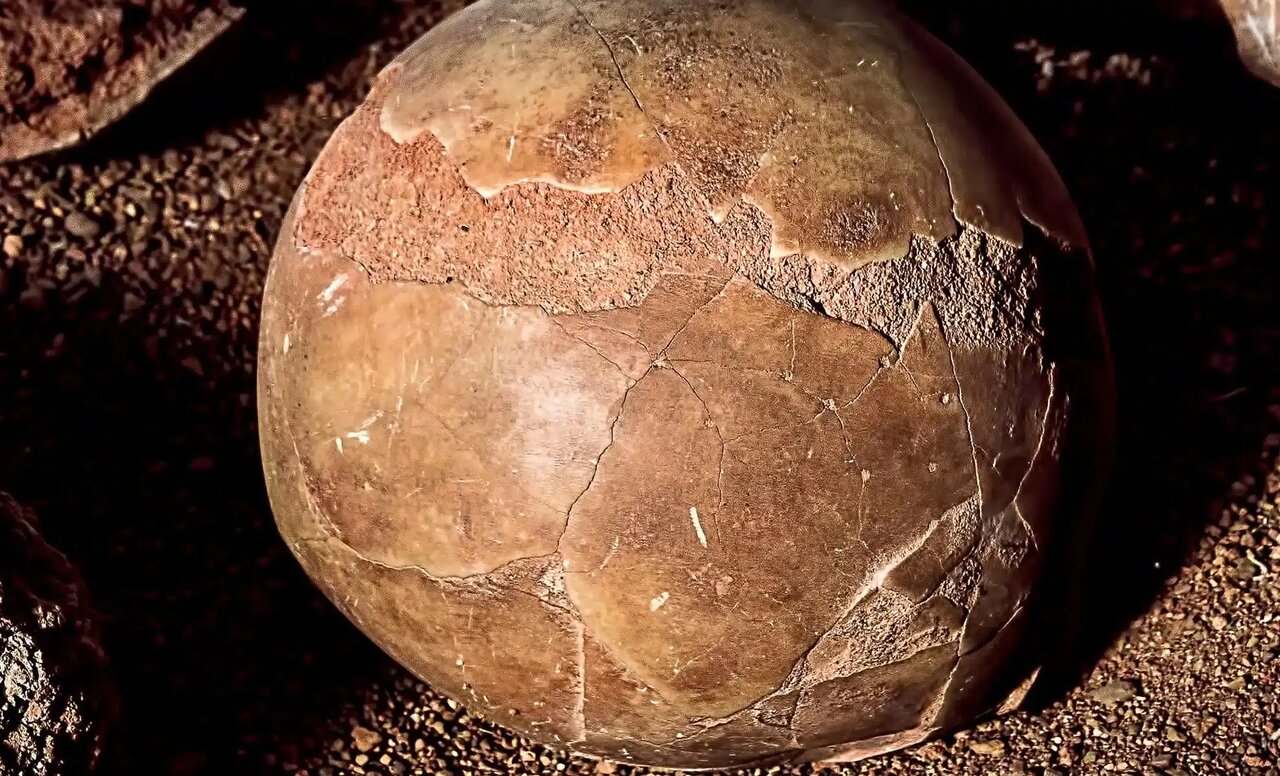 تخم‌مرغ ۱۷۰۰ ساله سالم در انگلستان پیدا شد