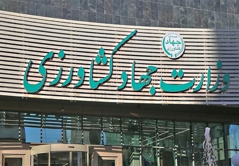 تولید نهاده‌ دامی در سال جاری 10 میلیون تن کاهش یافت – تسنیم