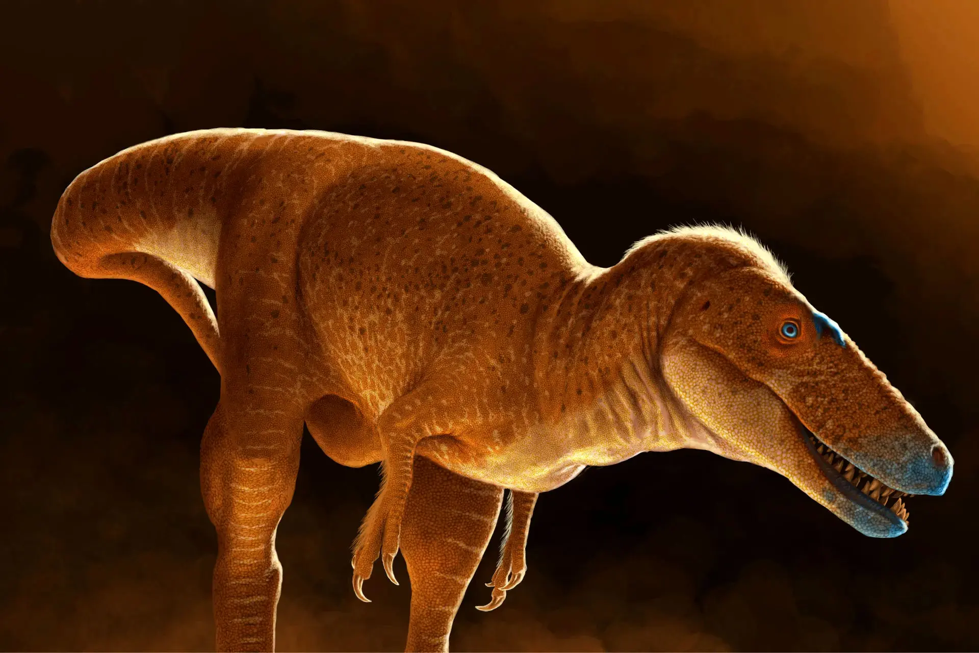 تی‌رکس یک نیای تازه دارد: «شاهزاده اژدها» از مغولستان