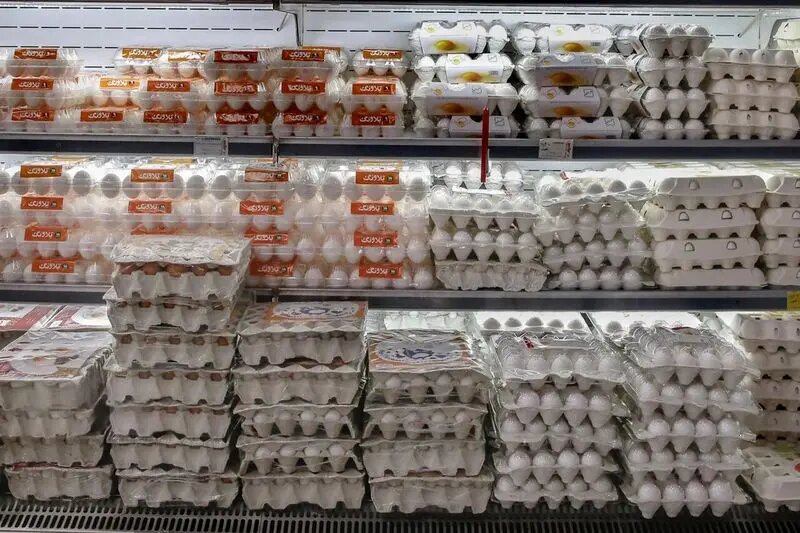 جنجال تخم‌مرغ از مرغداری تا بازار/ نیمرو با طعم تورم