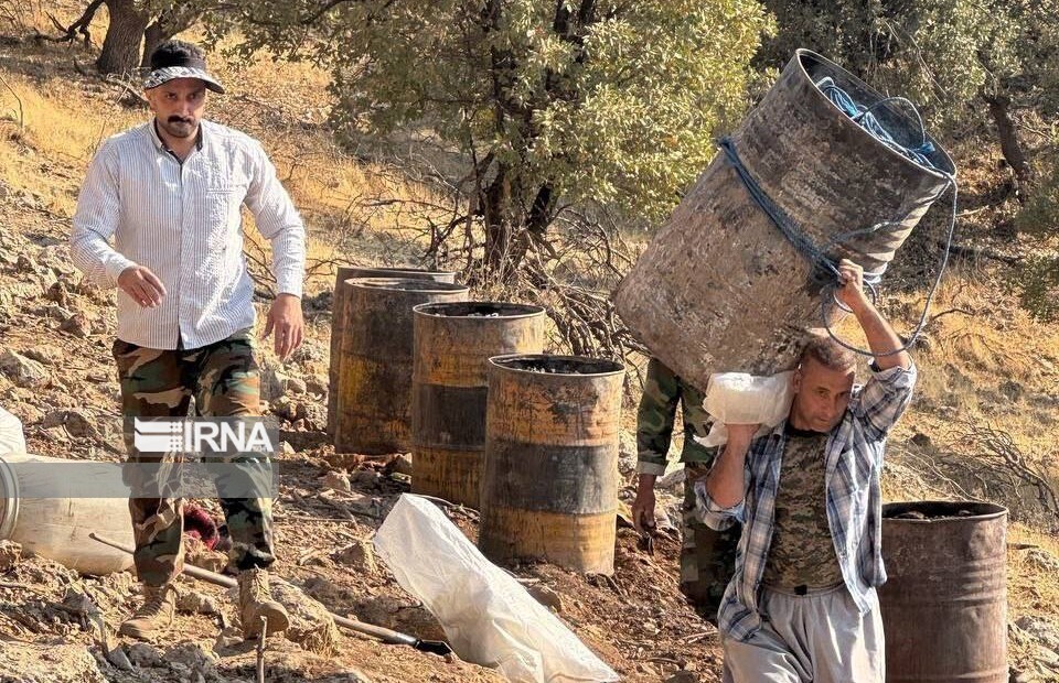 جنگل‌هایی که برای زغال می‌سوزند