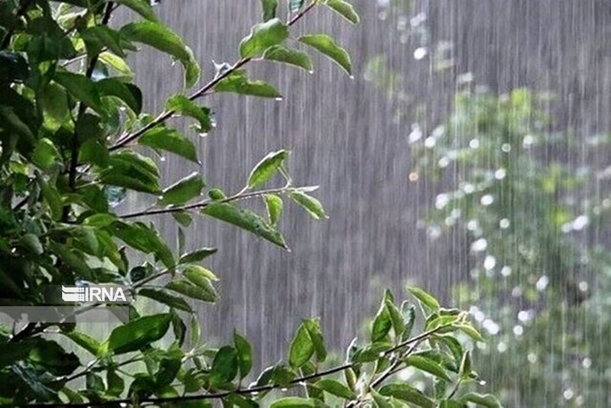 رگبار باران در نوار شمالی/ دریای خزر مواج می‌شود
