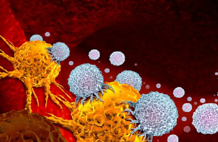 ساخت یک واکسن آزمایشی که علیه سرطان «پیش‌ایمنی» ایجاد می‌کند