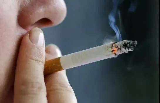 سیگار علت ۸۵ درصد درگیر شدن به بیماری های کشنده سیگار علت ۸۵ درصد درگیر شدن به بیماری های کشنده