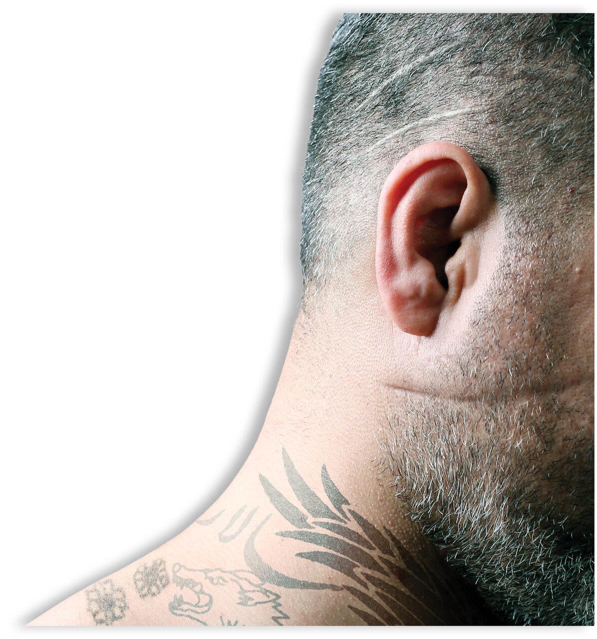 “شر خر” ها در فضای مجازی جولان می دهند/ بدخواه دارید به ما بسپارید، حال شان را می گیریم/ 300میلیون ناقابل برای رو کم کنی