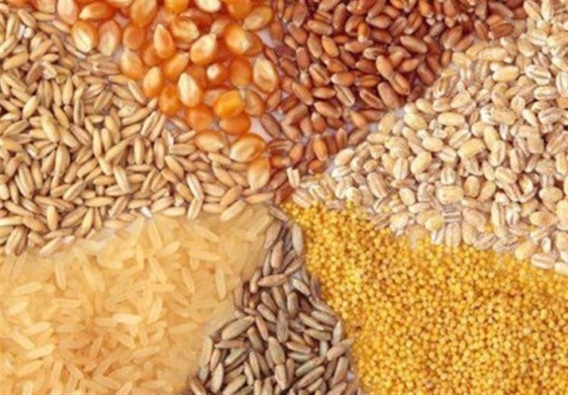 ضوابط جدید واردات نهاده‌های دامی اعلام شد – تسنیم