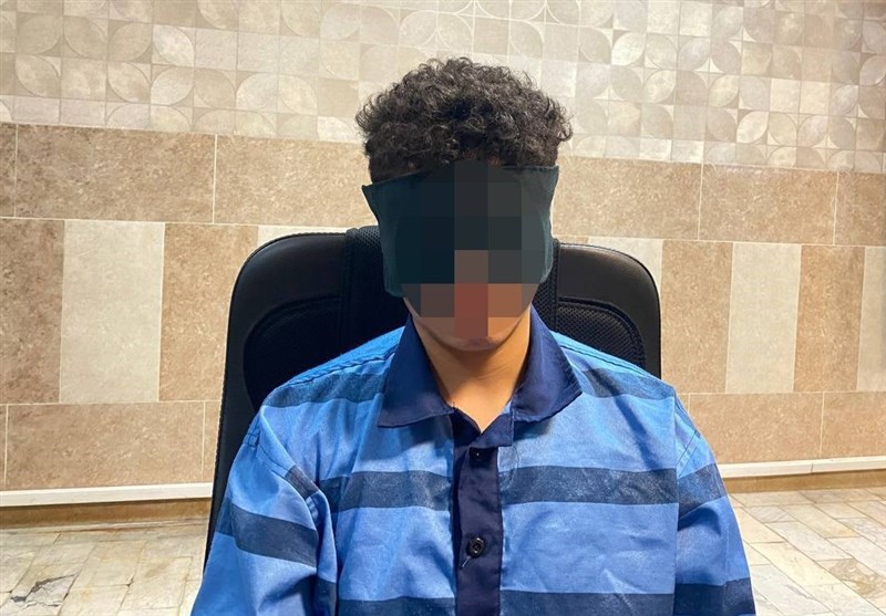 قاتل امیرمحمد خالقی در ملاعام اعدام نمی‌شود – تسنیم