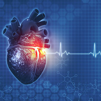 قلب تپنده کوهستانی + فیلم