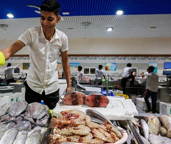 قیمت انواع آبزیان و ماهی در میادین میوه و تره‌بار اعلام شد